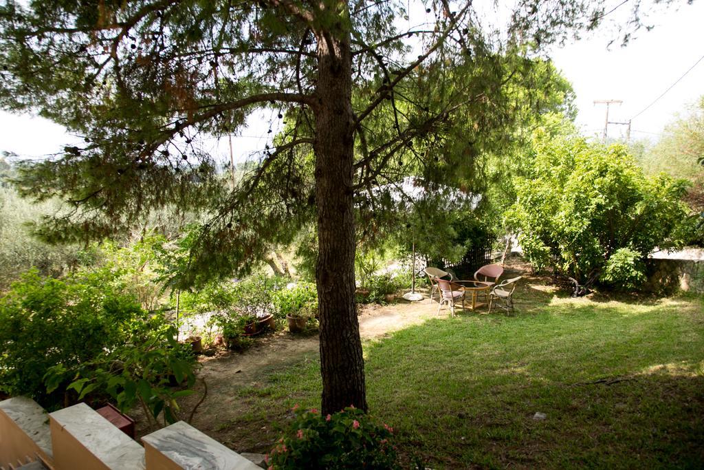Almyros Studios & Apartments Kounopetra Bagian luar foto