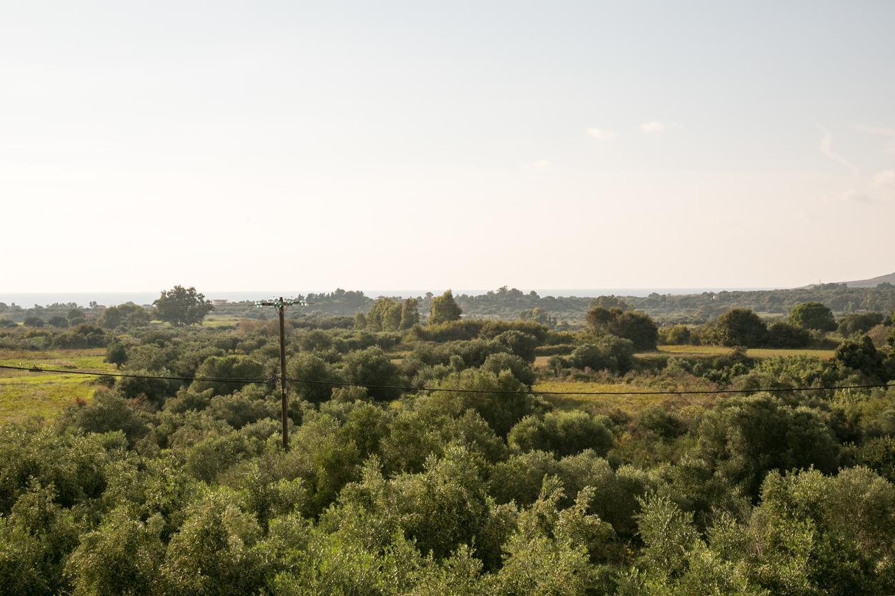 Almyros Studios & Apartments Kounopetra Bagian luar foto